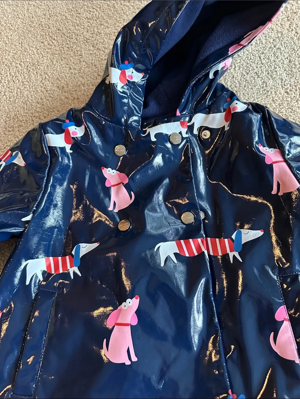 Jacardi Paris rain coat with dog print